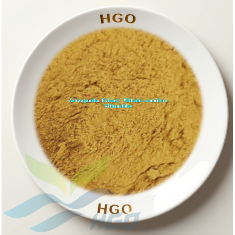 Ashwagandha Extract/ Withania somnifera (Withanolides)
