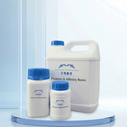 Protein A亲和层析填料