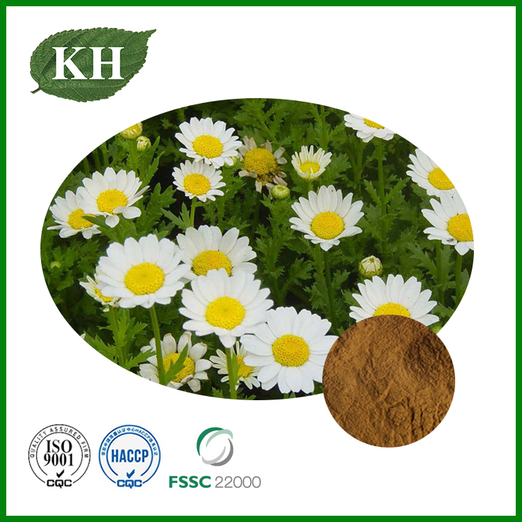 Feverfew Extract