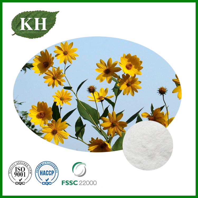 Jerusalem Artichoke Extract