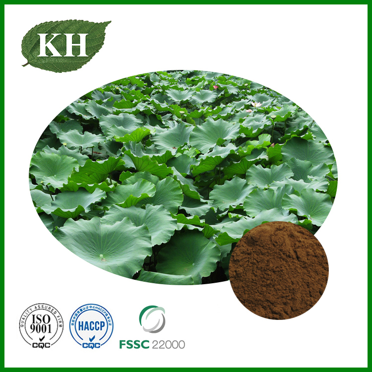 Lotus Leaf Extract