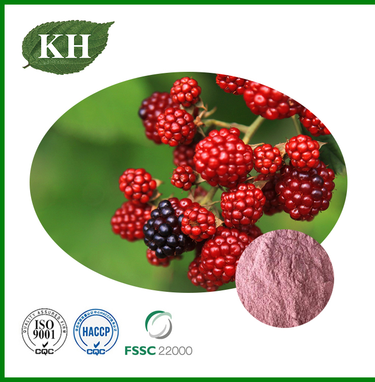 Raspberry Extract