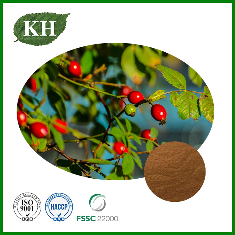 Rose Hips Extract