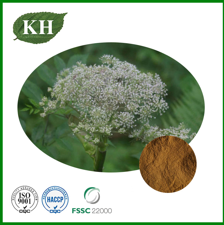 Ligusticum Rhizome Extract