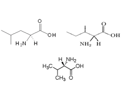 支链氨基酸 BCAA