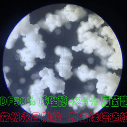 DF矮塔-聚合喷雾流化造粒塔(永昌制粒)-永昌制粒