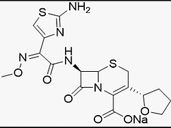 头孢维星钠（粗品）