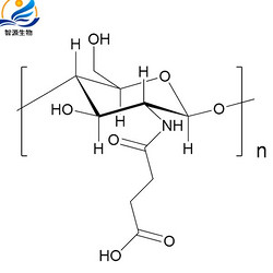 Succinyl chitosan