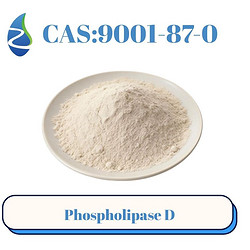 Phospholipase D