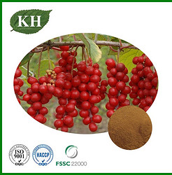 Schizandra Chinensis Extract