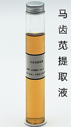马齿苋提取液