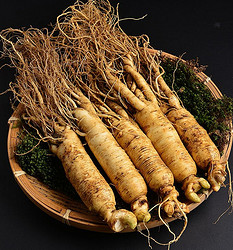 Panax Ginseng Extract
