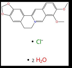 Bervera™ Berberine chloride dihydrate