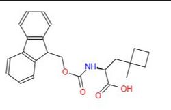 Fmoc-Ala(1-Me-cBu)-OH