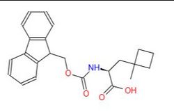 Fmoc-Ala(1-Me-cBu)-OH