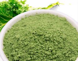 Kale Ultra Micro Powder