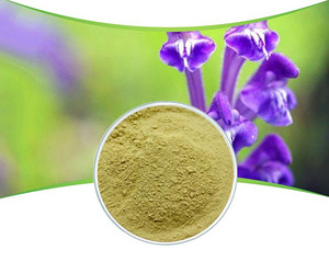 Scutellaria baicalensis extract