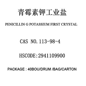 Penicillin G potassium first crystals