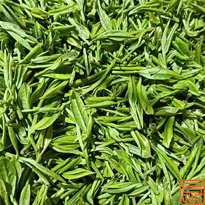 Green Tea Extract Tea Polyphenols 50%