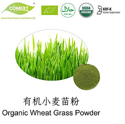 Organic Wheat Grass Powder