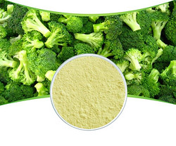 Broccoli Extract
