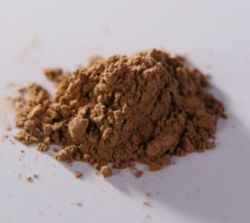 人参组培不定根（原浆）