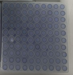 Anti-Kentsin,73430-00-9,多肽合成,多肽定制-仅供科研