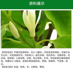 白兰花提取物 多规格定制 厂家直供 SC厂家