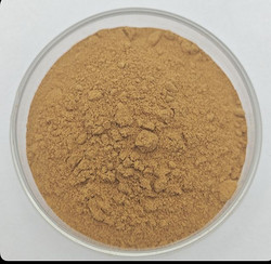 Epimedium Extract Icariin 10%