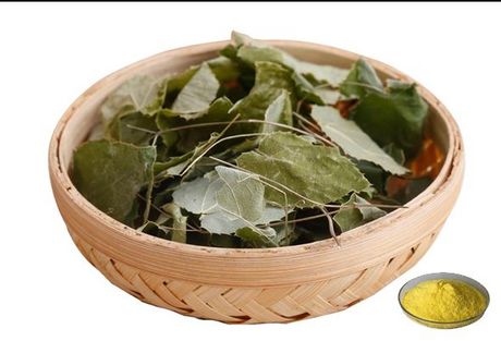 10% 淫羊藿苷粉末 (HPLC检测) 淫羊藿提取物 厂家直供 资质齐全