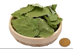 淫羊藿苷 98% (HPLC检测) 高纯单体 医药级淫羊藿提取物 资质齐全