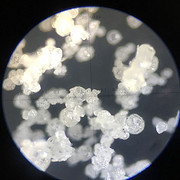 提取液喷雾造粒干燥塔-永昌制粒