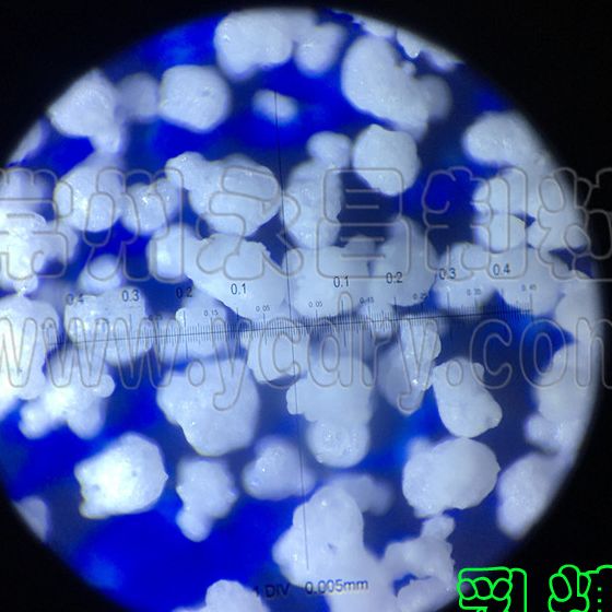 植物浓缩提取液喷雾造粒干燥塔-永昌制粒