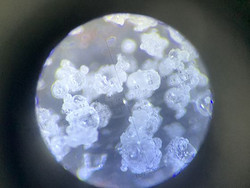 植物浓缩提取液喷雾造粒干燥塔-永昌制粒