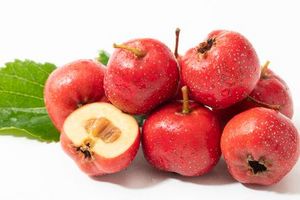 Hawthorn Extract