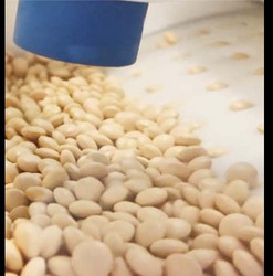 福州市胶囊缺陷外观视觉检测筛选