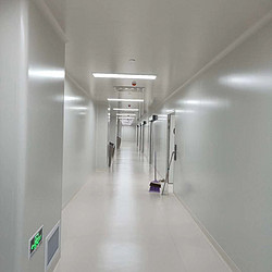 玻镁岩棉净化板