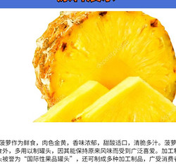 喷雾干燥菠萝粉 全水溶 固体饮料原料