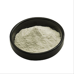 壳聚糖盐酸盐98%药用辅料脱乙酰甲壳素