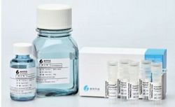 Recombinant Human Hyaluronidase (HYSORPTASE®)