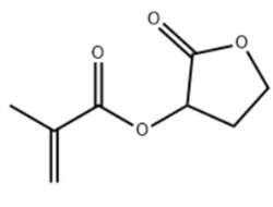甲基丙烯酸2-氧代四氢呋喃-3-基酯