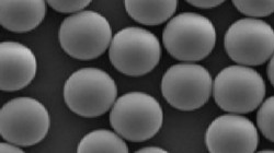聚合物磁性微球（MagPoly Beads）