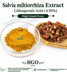 Salvia miltiorrhiza Extract - Lithospermic Acid