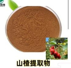 High purity  hawthorn extract