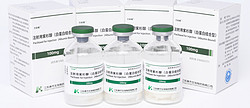 Paclitaxel Albumin for Injection