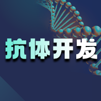 抗体研习会