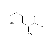 L-赖氨酸碱