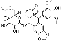 依托泊苷