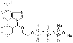 三磷酸腺苷二钠