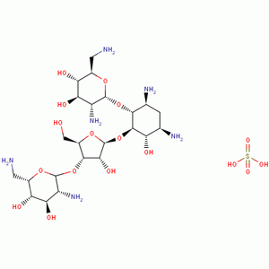 硫酸新霉素 氨基糖苷類